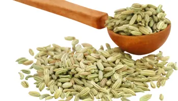 Fennel Seeds